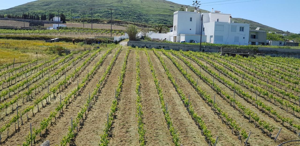 Villa Arokaria Stení المظهر الخارجي الصورة