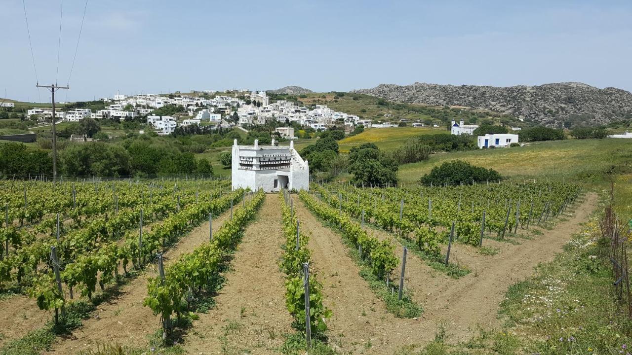 Villa Arokaria Stení المظهر الخارجي الصورة