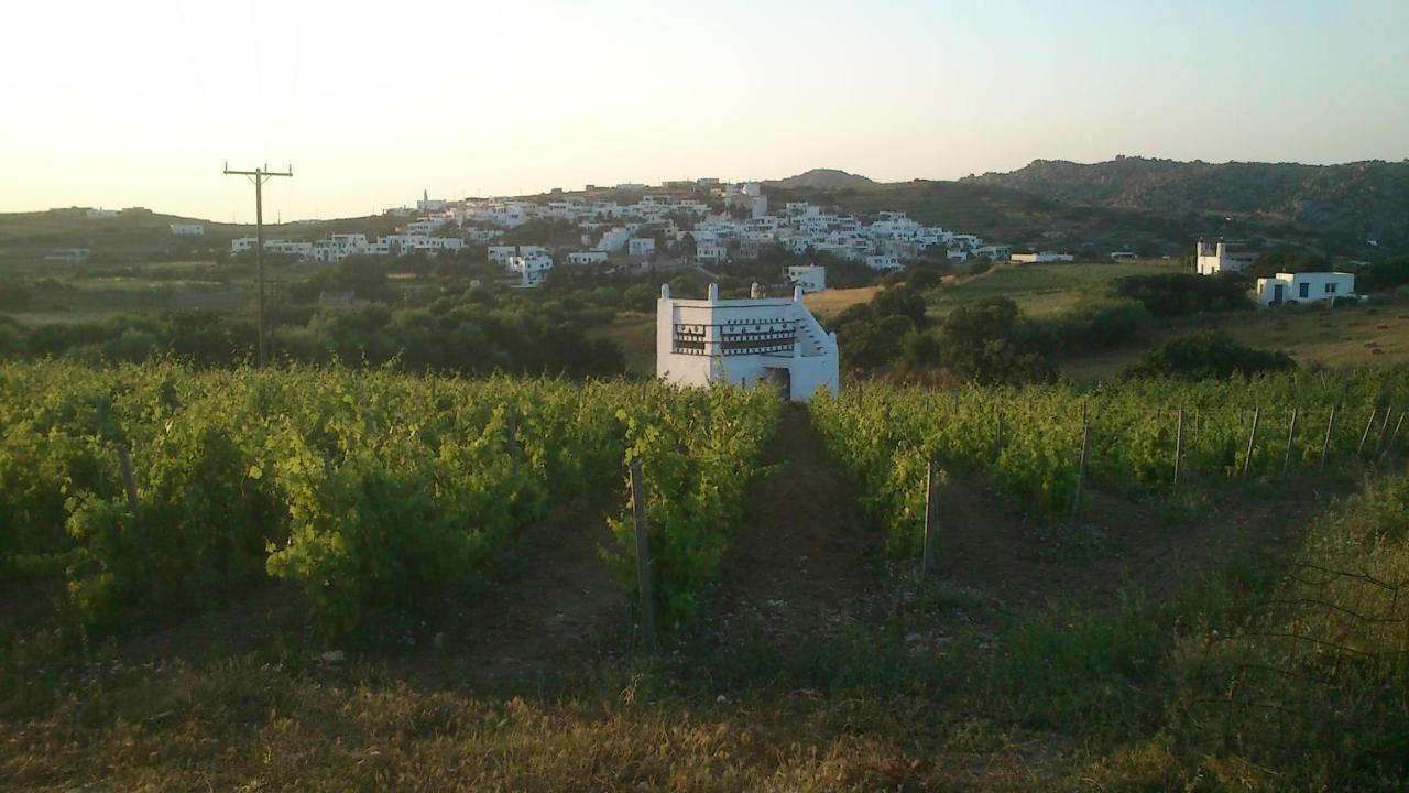 Villa Arokaria Stení المظهر الخارجي الصورة